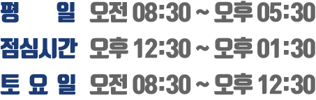 진료안내